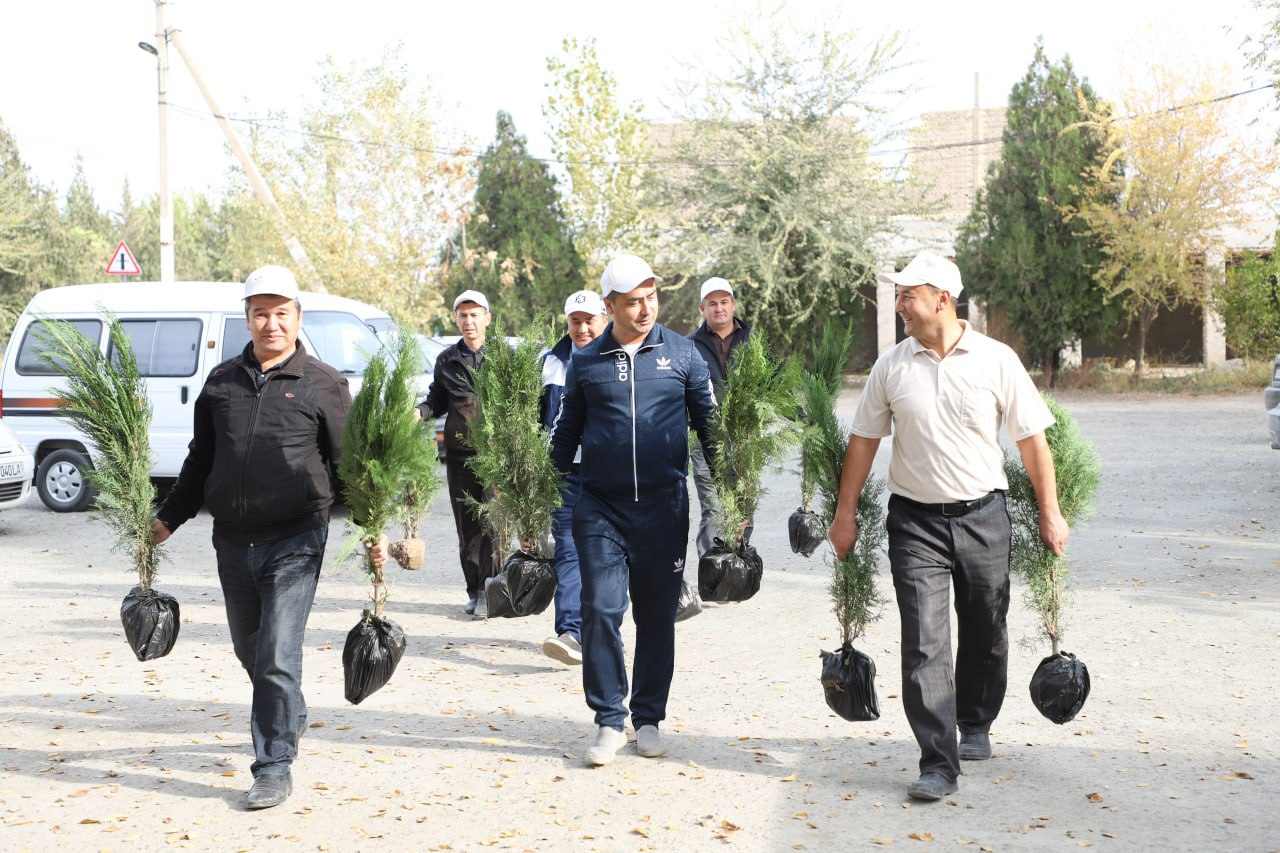 Bugungi kunda Xorazm viloyati maktabgacha va maktab ta’limi boshqarmasi tizimidagi ta’lim muassasalarida kuzgi ko‘chat ekish ishlari qizg‘in davom etmoqda.