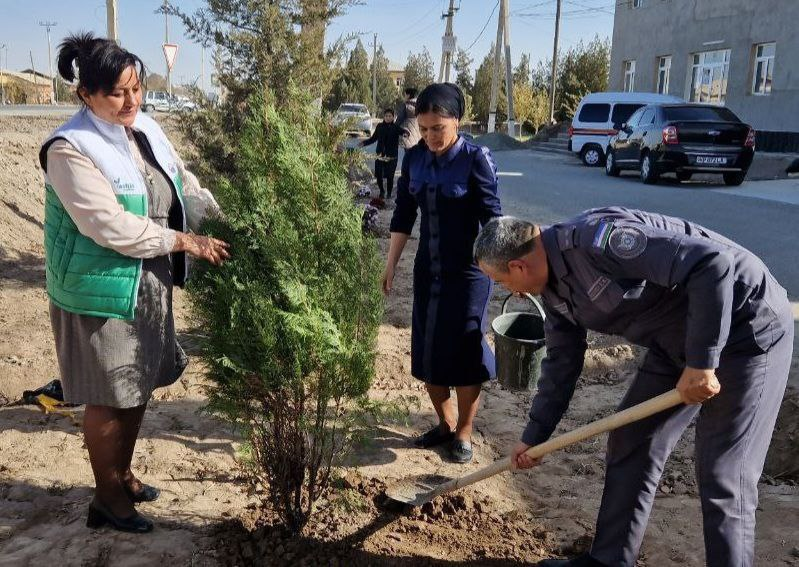 “Yashil makon” umummilliy loyihasi doirasida Qo‘shko‘pir tumani "Inson" ijtimoiy xizmatlar markazi tomonidan tuman markazi atroflariga 100 tupdan ortiq manzarali archa va gul ko‘chatlari  o‘tqazildi.