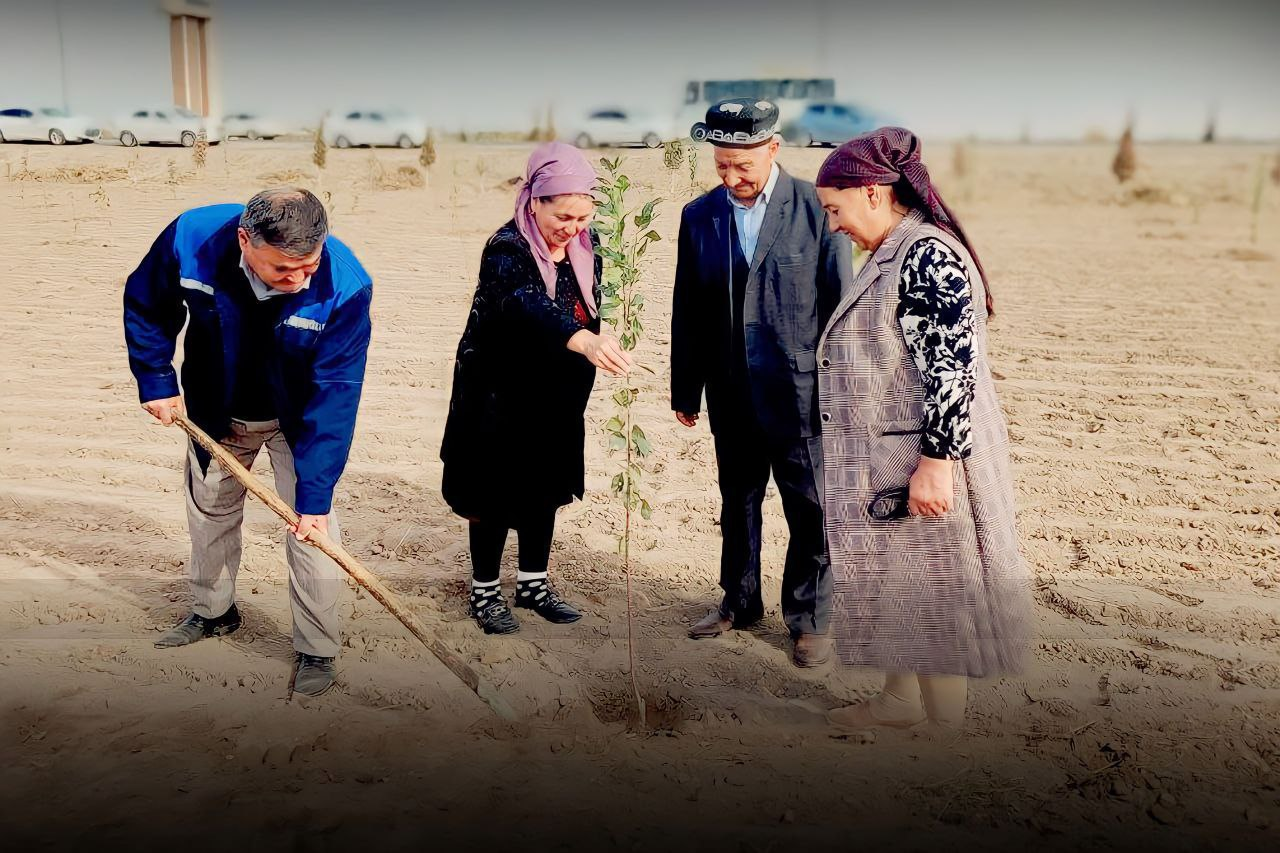 “Yashil makon” umummilliy loyihasi doirasida yurtimiz bo‘ylab obodonlashtirish va ko‘chat ekish ishlari uyushqoqlik bilan olib borilmoqda