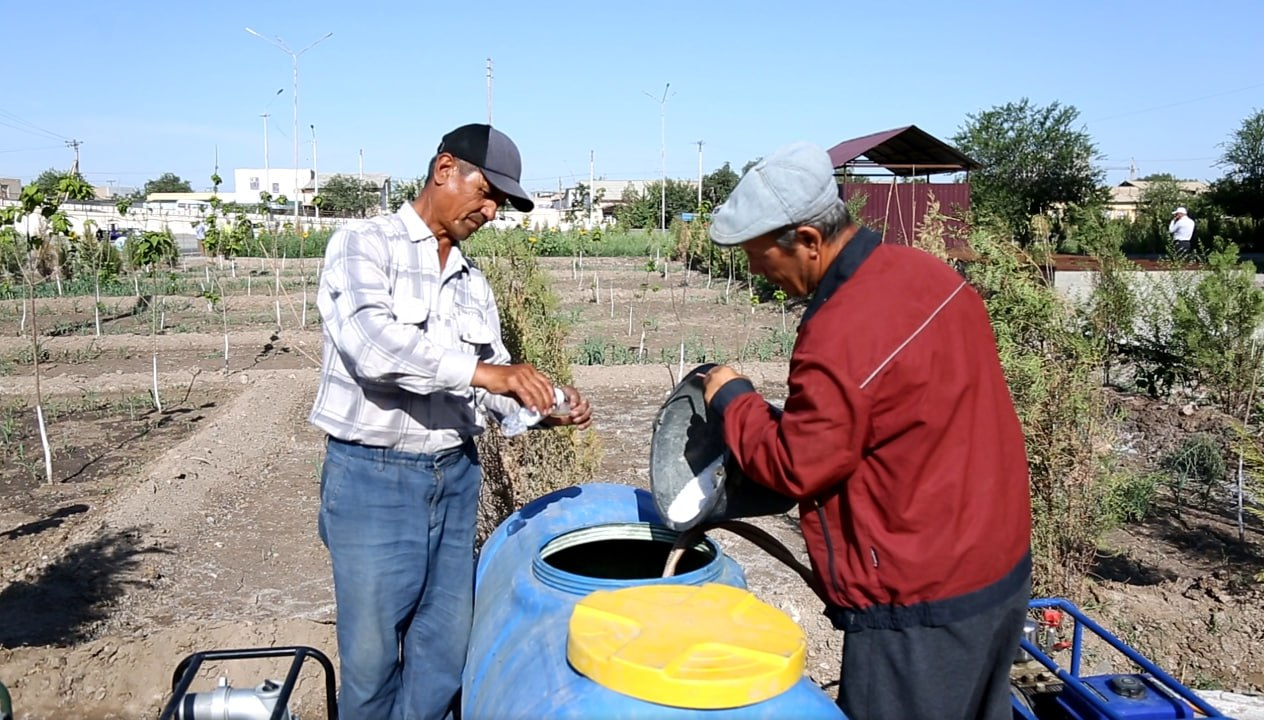 Agrotexnik tadbirlar