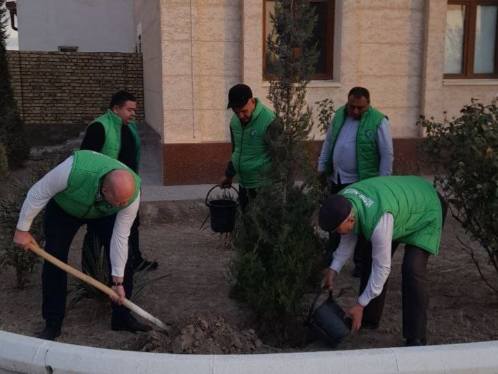 Joriy yilning 25-oktabridan 1-dekabrigacha butun mamlakatimiz boʻylab “Yashil makon” umummilliy loyihasi doirasida kuzgi koʻchat ekish mavsumi boshlangan edi.