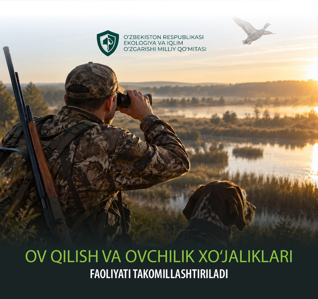 Ov qilish va ovchilik xo‘jaliklari faoliyati takomillashtiriladi
